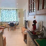 Denolijfboom De Haan