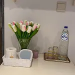 Denolijfboom Nyaraló De Haan
