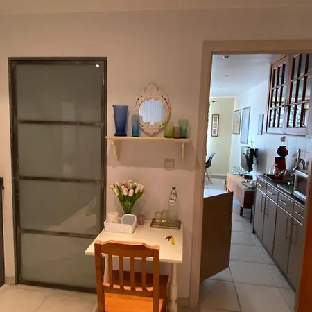 Holiday Denolijfboom