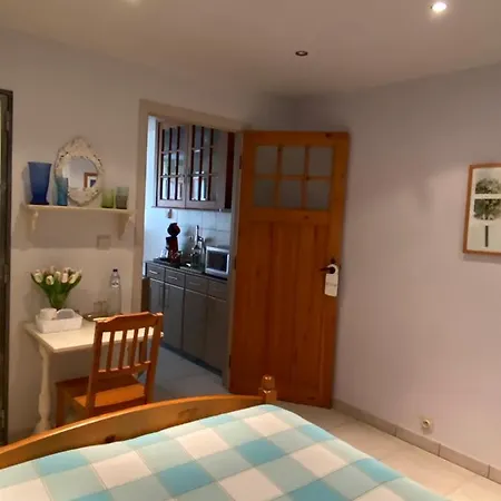 Denolijfboom 펜션 데한