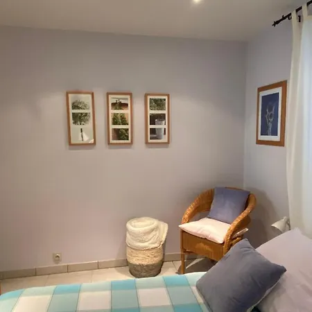 Holiday Denolijfboom