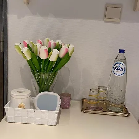 Denolijfboom Vakantiehuis De Haan