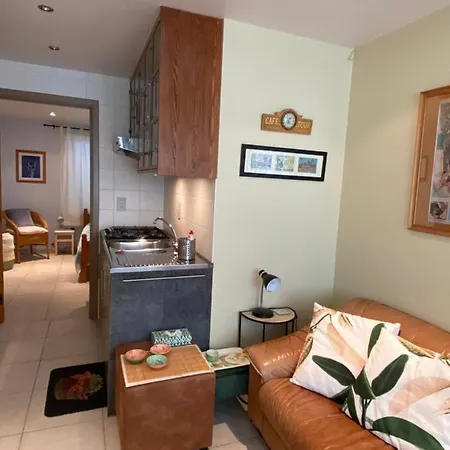 Holiday Denolijfboom