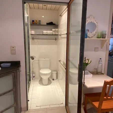 Holiday Denolijfboom De Haan