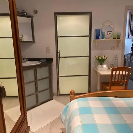 펜션 Denolijfboom 데한