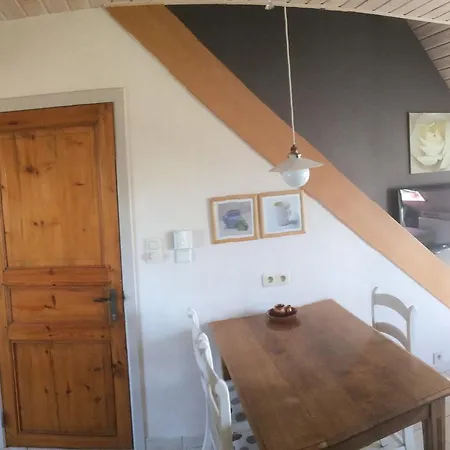 Denolijfboom * 데한