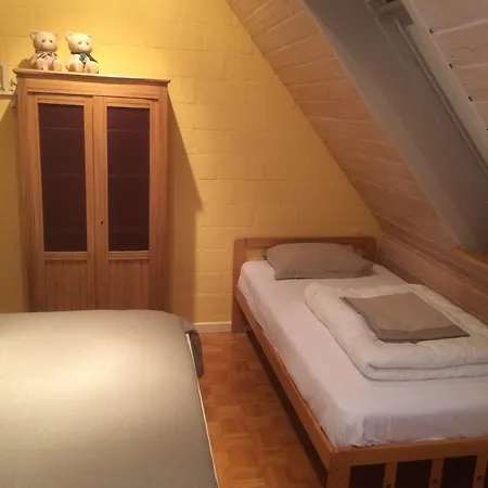 Holiday Denolijfboom *