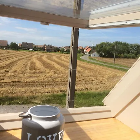 Holiday Denolijfboom